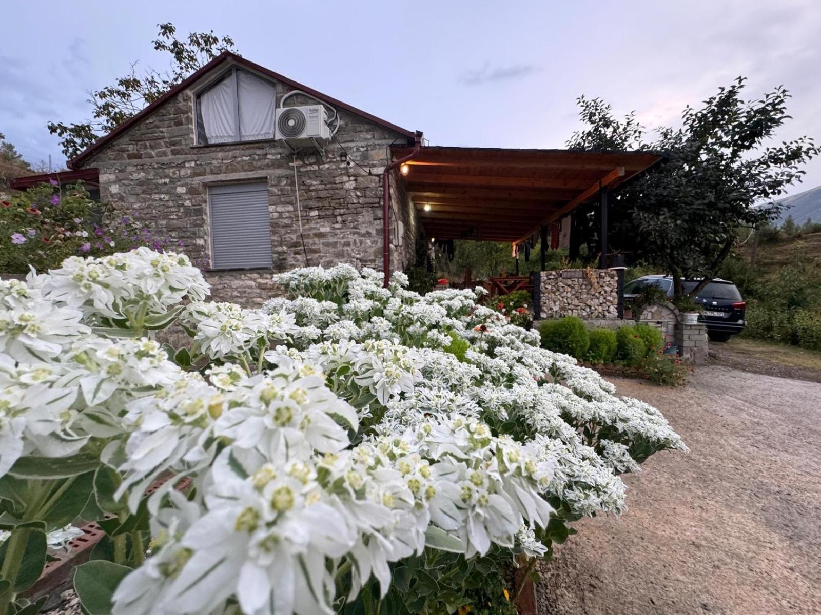 Stone House Villa Këlcyra Kültér fotó